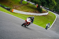 anglesey;brands-hatch;cadwell-park;croft;donington-park;enduro-digital-images;event-digital-images;eventdigitalimages;mallory;no-limits;oulton-park;peter-wileman-photography;racing-digital-images;silverstone;snetterton;trackday-digital-images;trackday-photos;vmcc-banbury-run;welsh-2-day-enduro